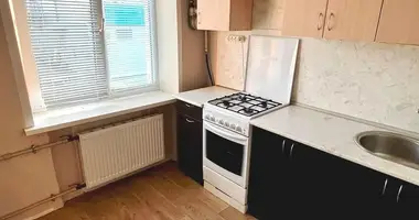 2 room apartment in Sluck, Belarus
