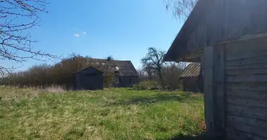 Terrain dans Naujoji Kirsna, Lituanie