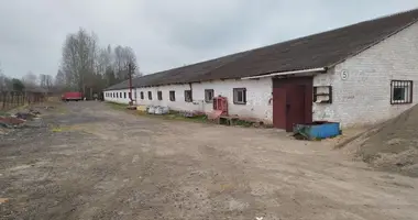 Entrepôt 100 m² dans Dziescanski sielski Saviet, Bélarus