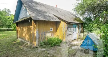 Dom w Valozynski sielski Saviet, Białoruś