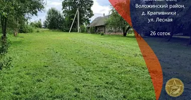 Terrain dans Piarsajski sielski Saviet, Bélarus