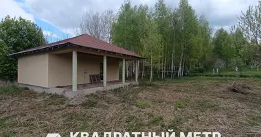 House in Svabski sielski Saviet, Belarus