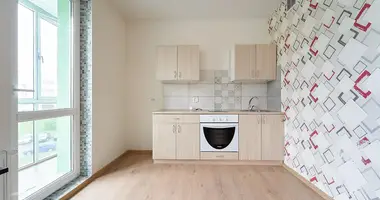 Wohnung 1 zimmer in Fanipal, Belarus