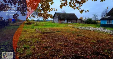 Grundstück in Kurkava, Belarus
