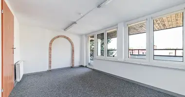 7 bedroom house in Warsaw, Poland