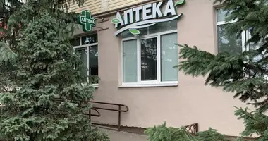 2 room apartment in Orsha, Belarus