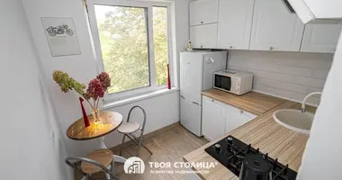 1 bedroom apartment in Minsk, Belarus