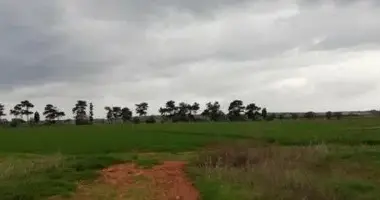 Parcela en Liopetri, Chipre