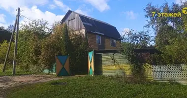 House in Lasanski sielski Saviet, Belarus
