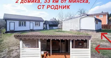 House in Rakauski sielski Saviet, Belarus