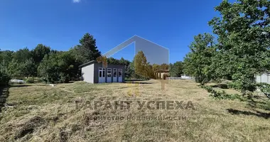 Działka w Muchawiec, Białoruś