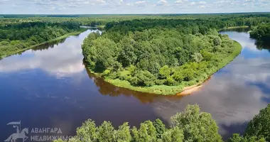 House in Krasnaye, Belarus