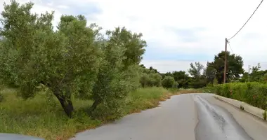 Участок земли в Kassandra Municipality, Греция