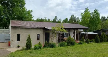 Casa en Niemanicki sielski Saviet, Belarús