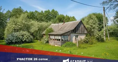 Plot of land in Piarsajski sielski Saviet, Belarus