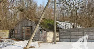 Propriété commerciale dans Rakitnicki sielski Saviet, Bélarus