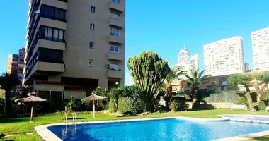 Mieszkanie 2 pokoi w Benidorm, Hiszpania