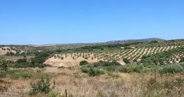 Участок земли в Агелиана, Греция
