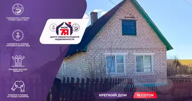 House in Zalieski sielski Saviet, Belarus