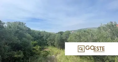 Parcela en Opcina Dezanovac, Croacia