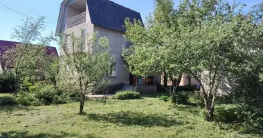 House in Valievacski sielski Saviet, Belarus