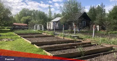 Działka w Pliski sielski Saviet, Białoruś