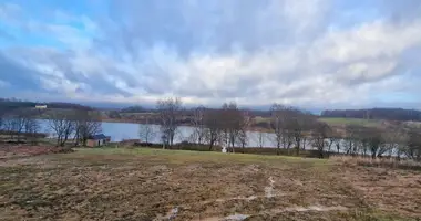 Dom w Szyrwinty, Litwa