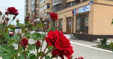 1 room apartment in Odesa, Ukraine