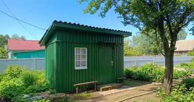 Дом в Терешковичский сельский Совет, Беларусь