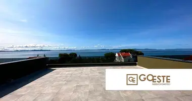 2 room apartment in Opcina Dezanovac, Croatia