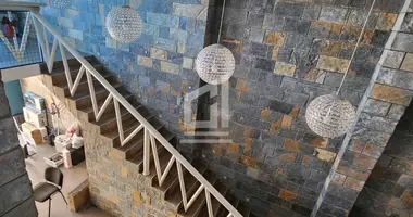 Commercial property in Podgorica, Montenegro