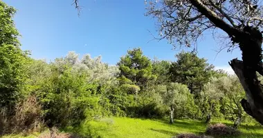 Plot of land in Skaljari, Montenegro