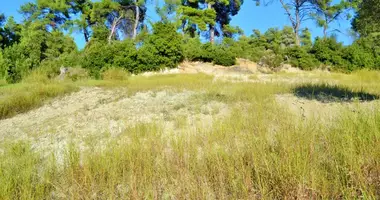 Terrain dans Siviri, Grèce