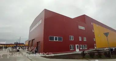 Manufacture 392 m² in Luhavaslabadski sielski Saviet, Belarus