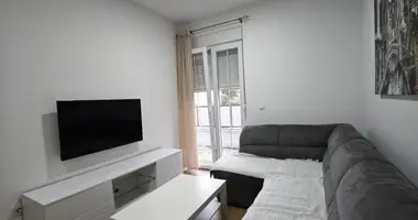 Apartment in Dalmatinska, Montenegro