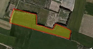 Apartment in Timi, Cyprus