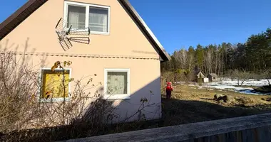 House in Uzdzienski sielski Saviet, Belarus