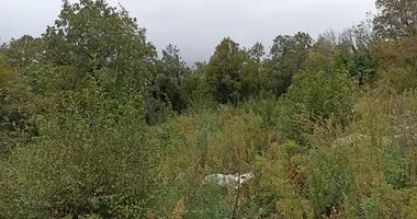 Terrain dans Blizikuce, Monténégro