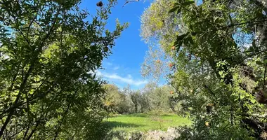 Terrain dans Kavac, Monténégro