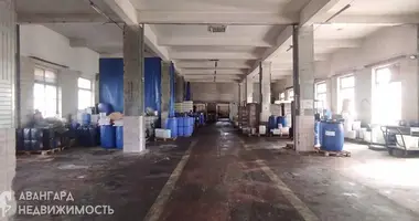 Manufacture 250 m² in Stankava, Belarus