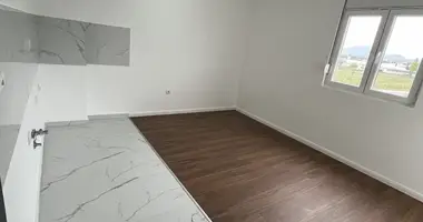 Wohnung in Podgorica, Montenegro