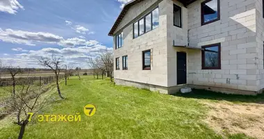 House in Stankauski sielski Saviet, Belarus