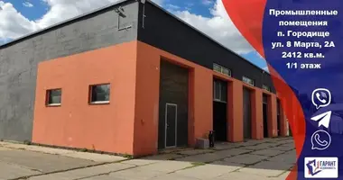 Manufacture 2 316 m² in Haradzishcha, Belarus