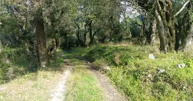 Działka w Pachatika, Grecja
