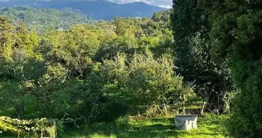 Casa en Chaisubani, Georgia