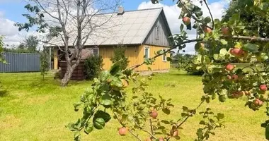 Дом в Kadagiskiai, Литва