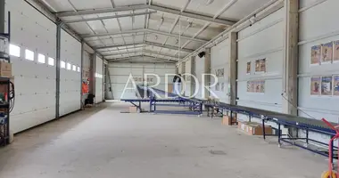 Oficina 3 763 m² en Cavle, Croacia