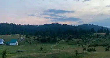 Grundstück in Zabljak, Montenegro