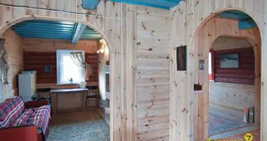 Haus in Piatryskauski sielski Saviet, Belarus