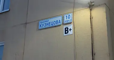 Appartement 1 chambre dans Saint-Pétersbourg, Russie